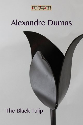 the black tulip dumas