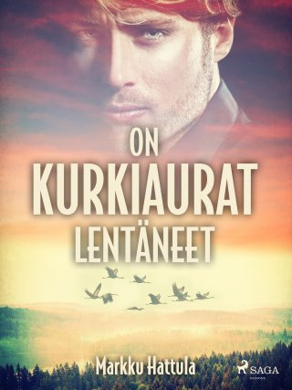 On Kurkiaurat Lentäneet - Markku Hattula - E-kirja - Elisa Kirja